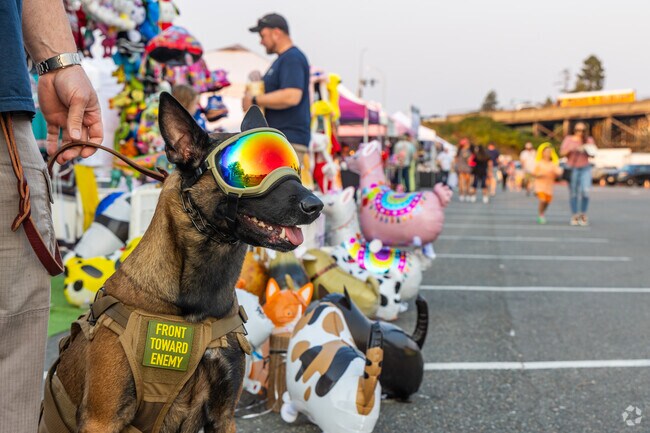 The Mukilteo Lighthouse Festival is an annual event that takes place on the Puget Sound.