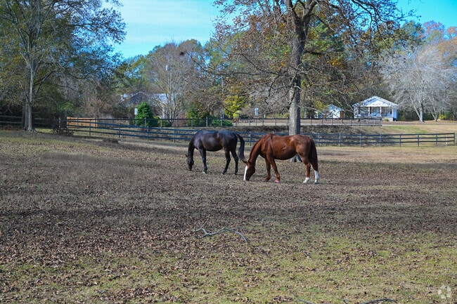 Equestrian enthusiasts enjoy the many horse farms in and around Vincent, Alabama.