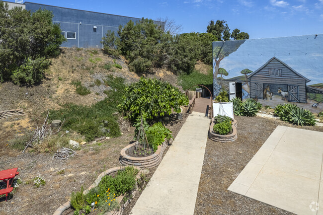 The school garden of the JCS - Cedar Cove in Encinitas.