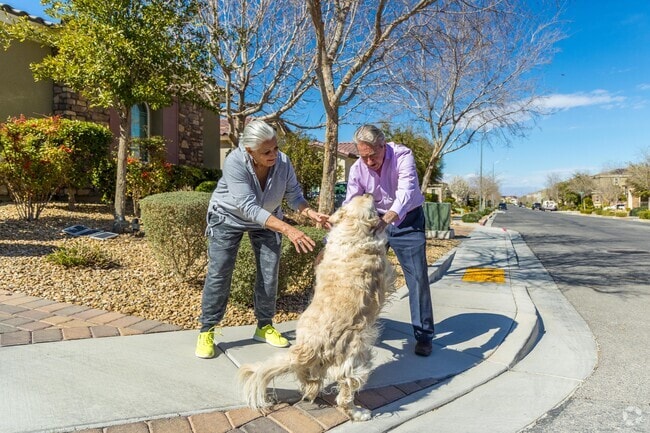 Anthem Highlands is a quaint, friendly neighborhood with families and their beloved dogs.