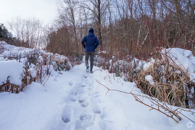 Milton, Vermont, has numerous trails and outdoor recreation for avid adventure seekers.