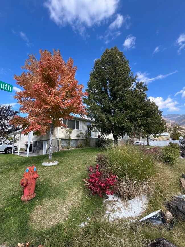 Front Yard