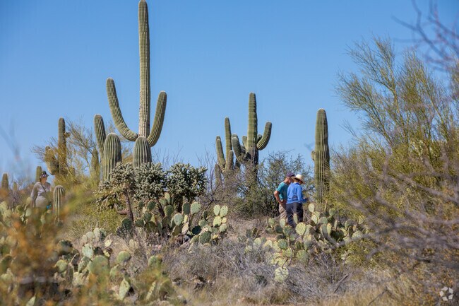 Saguaro National Park is close to the Eastside area and home to the saguaro cactus.