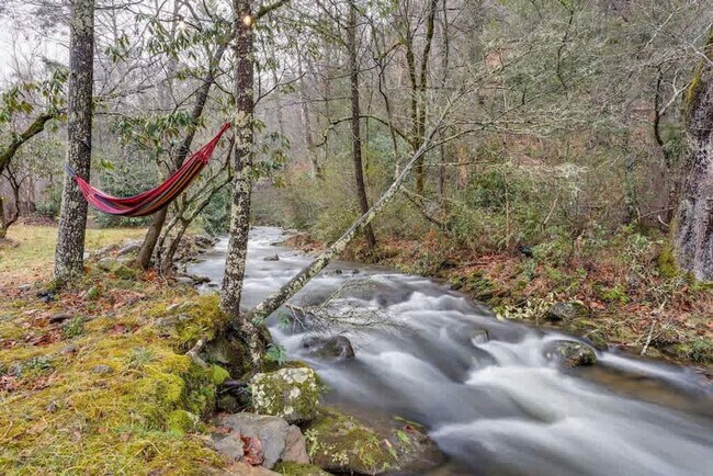 4557 Hooper Hwy unit ID1051752P, Cosby, TN 37722 - photo 6