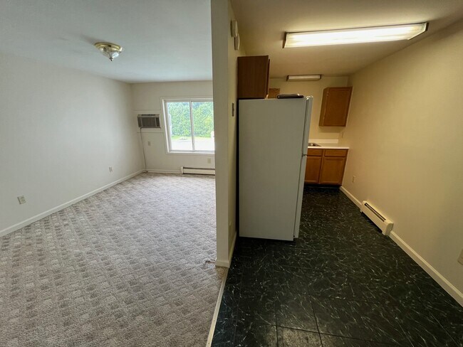 115 Main St unit 3, Moravia, NY 13118 - photo 7