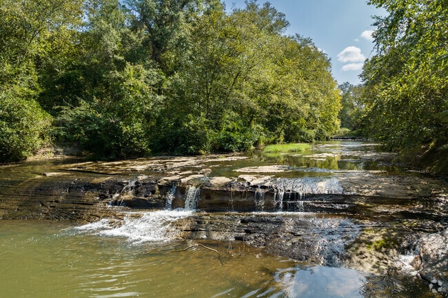 Holly Springs National Forest has small lakes and streams nestled among pine forests.