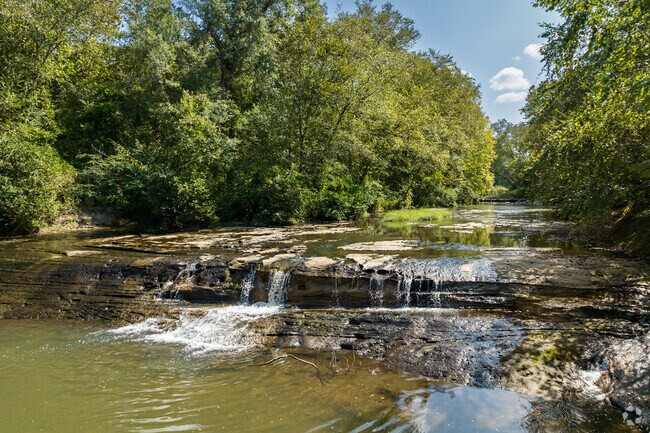 Holly Springs National Forrest has small lakes and streams nestled among the pine forests.