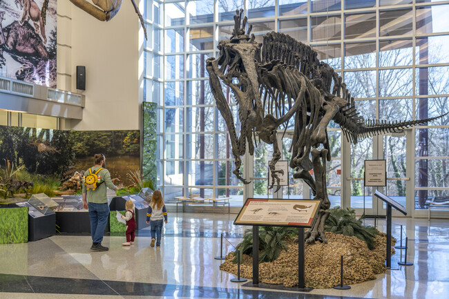 The Virginia Museum of Natural History is located in Martinsville, and though small, the museum boasts and impressive assortment of dinosaur bones and other assorted flora and fauna.