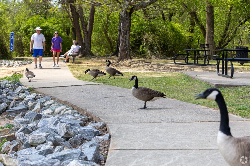 Ellard_562973_DM_060525_FINAL