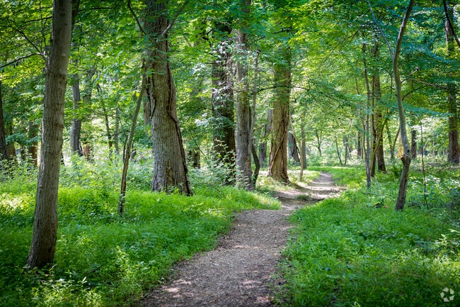 Great Falls is known for its outdoor trails and scenic destinations like Great Falls Park.