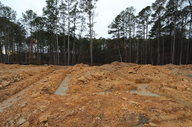 2408 Andrena Way, New Hill, NC 27562 - photo 4