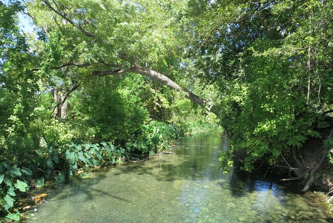 Seguin Guadalupe River 1of2