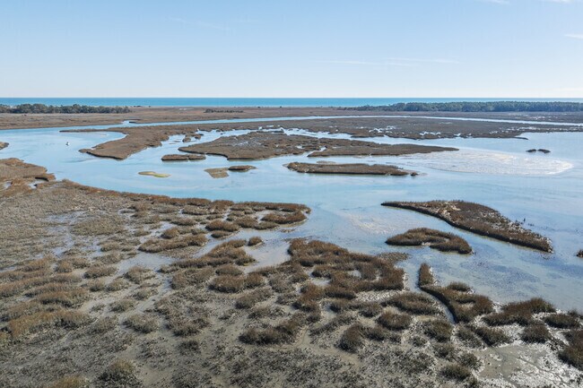 Explore the beautiful marshlands and fish the tidal creeks in Murrells Inlet.