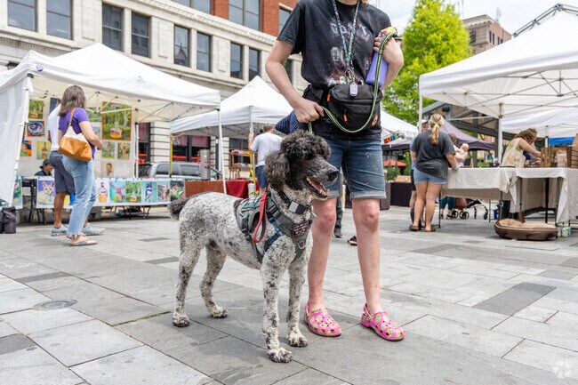The Lexington Farmer's Market's peak season runs from April to October in Downtown Lexington.