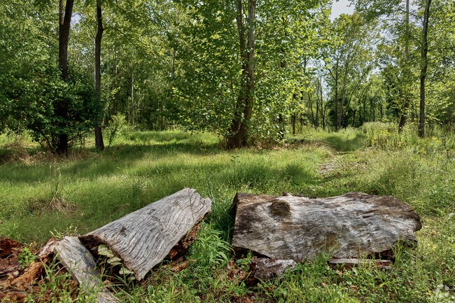 Aldie locals enjoy getting out and discovering nature on hiking trails.