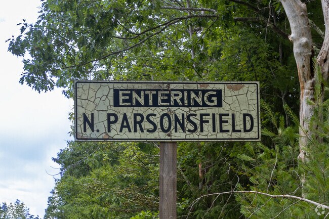 Parsonsfield is a town in York County, Maine.