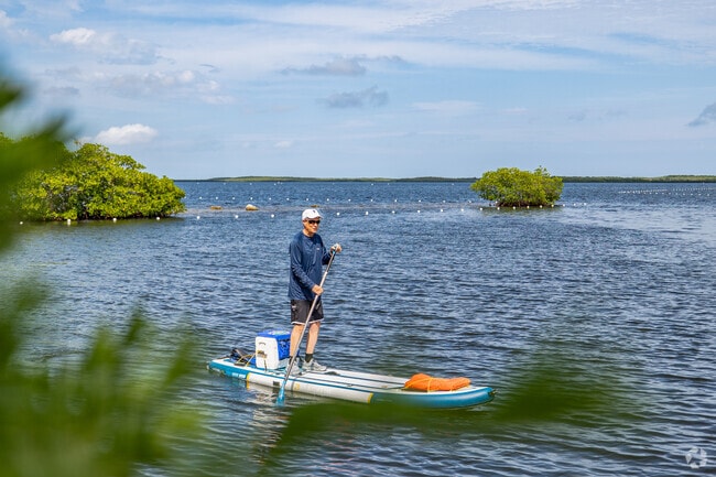 Pattle board your way through John Pennekamp Coral Reef State Park.