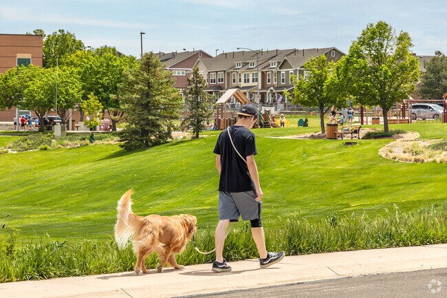 Cherrywood Park is a wonderful neighborhood where you can stroll safely with your dog.