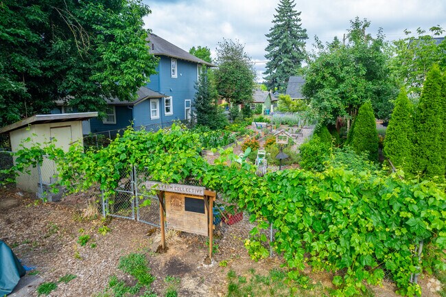 Community garden next to the St Andrew Nativity School.