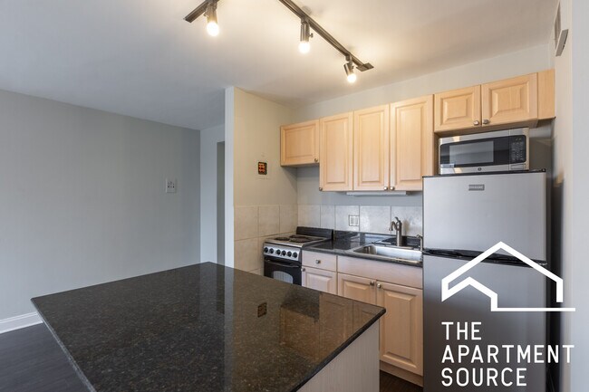 445 W Wellington Ave unit 8A, Chicago, IL 60657 - photo 2