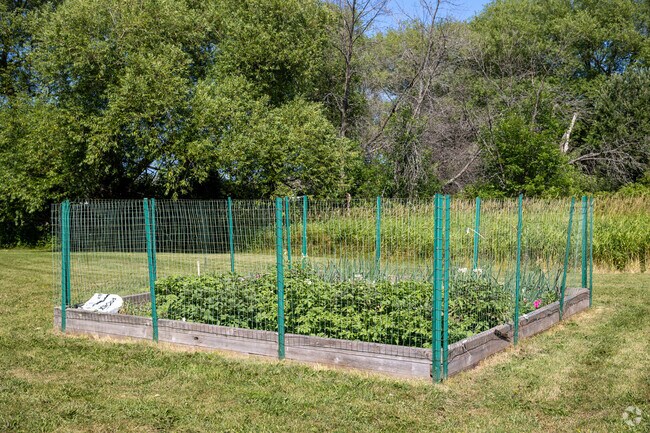 There are gardens for learning at Great Lakes Elementary Superior Wisconsin.
