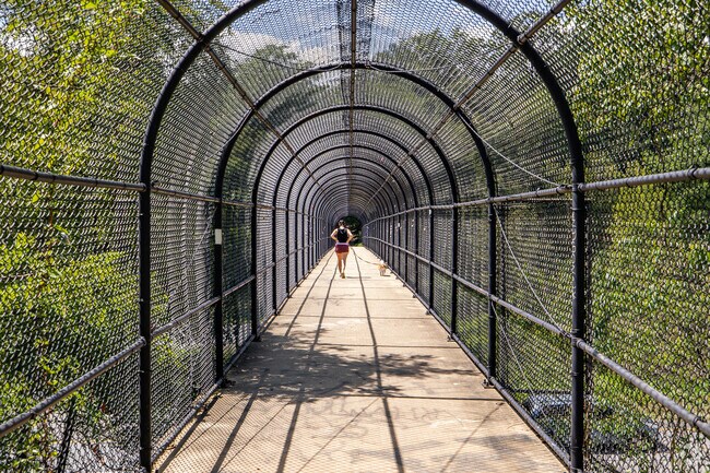 Enjoy long hikes along the Thurston Griggs Trail in South Mountain State Park.