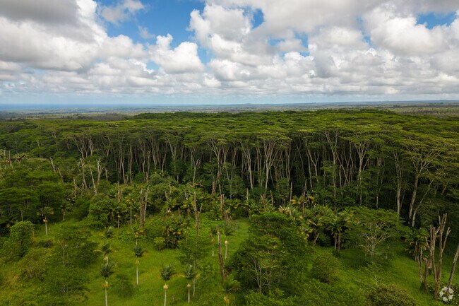 The area is known for its lush vegetation, with many properties featuring tropical plants, fruit trees, and ornamental gardens.