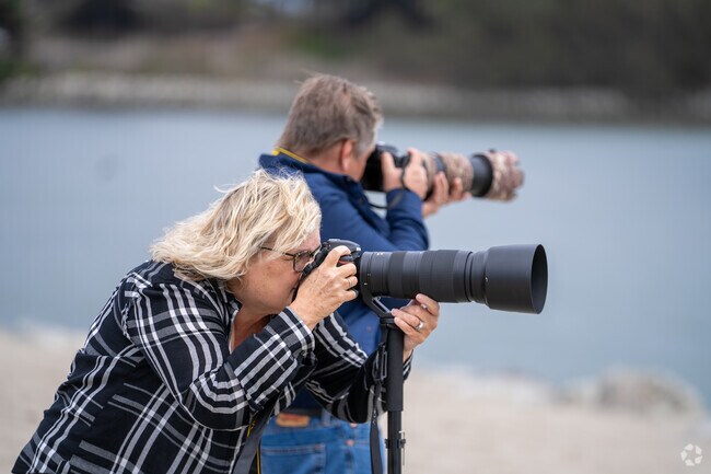 Capturing wildlife wonders together through the lens of curiosity.