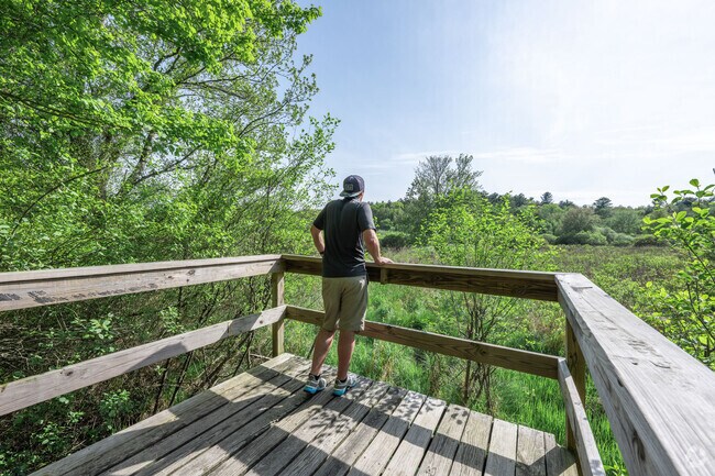 Center yourself as you take in the views from the platform at Hanover Greenway Trail.