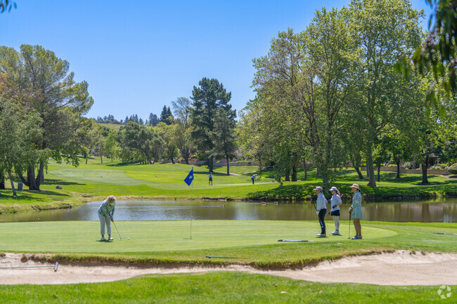 A lady puts for birdie as her group looks on.