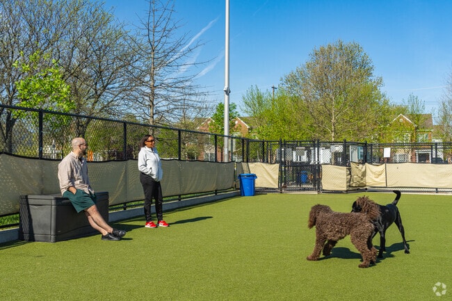 Neighbors gather at the dog park in Lanier Park to let their pups get some exercise.