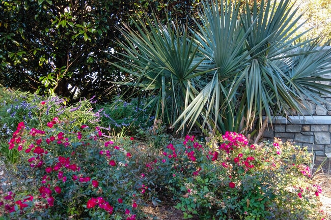 Garden displays like this can be seen at the Norfolk Botanical Garden near Norview Heights.