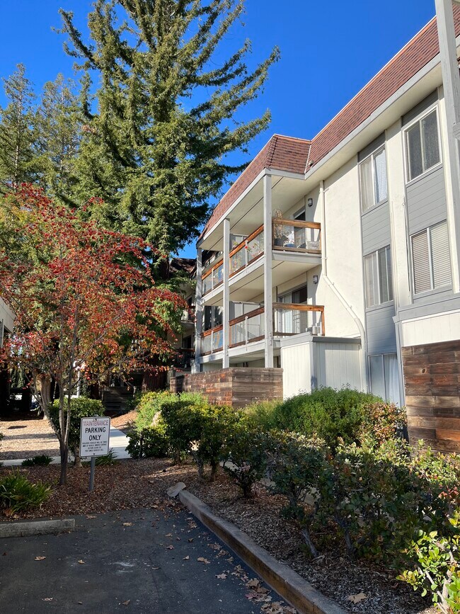 4081 Clayton Rd Unit 132, Concord, CA 94521