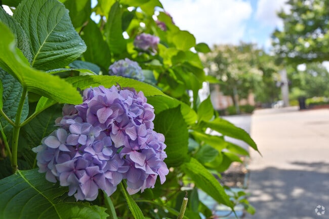 West End residents enjoy beautifully maintained streets.