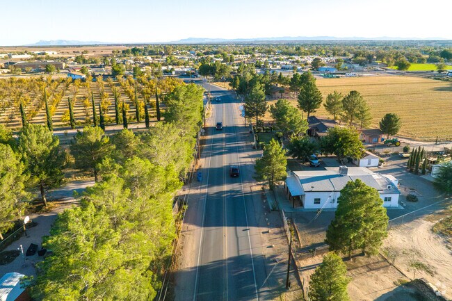 Socorro Road offers a scenic drive with mature trees and open fields in San Elizario.