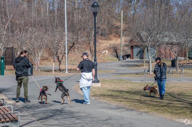 New Rochelle residents enjoy a walk with their dogs at Flowers Park in New Rochelle.