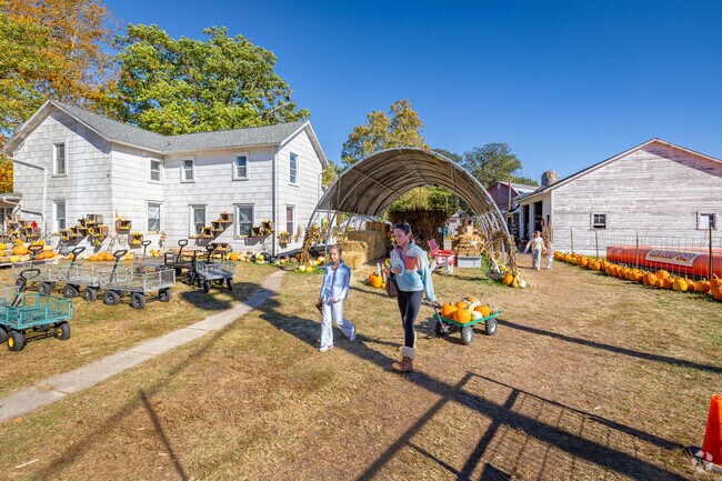 Cedar Creek Produce serves families with fresh local goods.