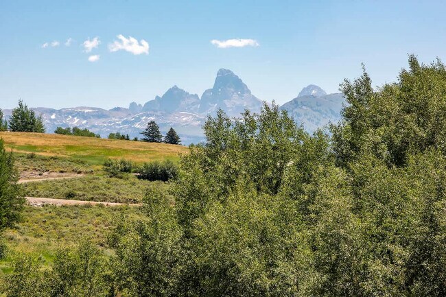 10570 Rammell Mountain Rd unit ID1310694P, Tetonia, ID 83452 - photo 6