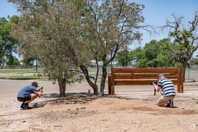 Prairie Dog Town is a safe way for Windmill residents to get up close to local critters.