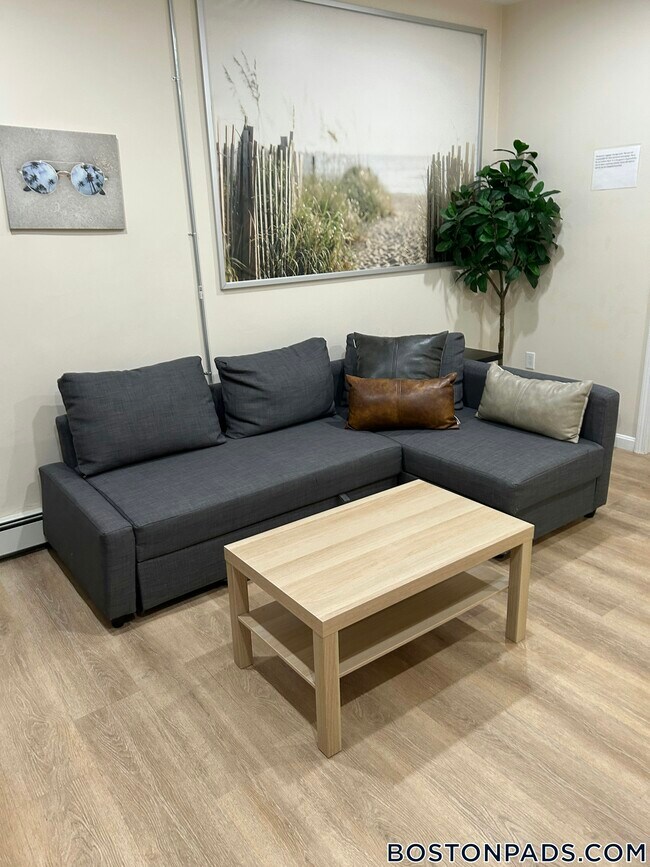 871 Harrison Ave unit 1, Boston, MA 02118 - photo 4