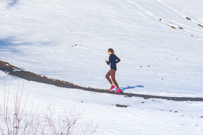 Go for a run along the paved path at the Van Bibber Open Space in Applewood Estates.