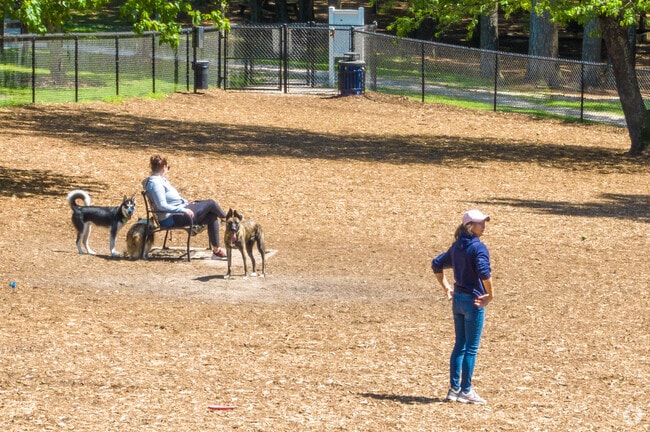 Lake Benson Dog Park features separate play areas for large and small dogs.