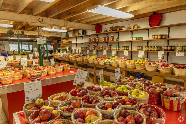 Red Barrel Cider Mill carries a large variety of local apples.
