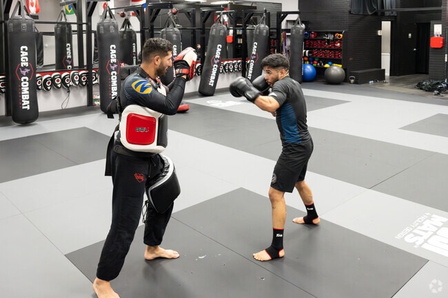 Cage Combat near Mesa Linda is a go-to spot for MMA workouts and lessons.