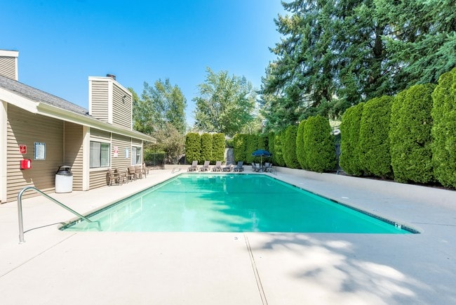 Sparkling Swimming Pool