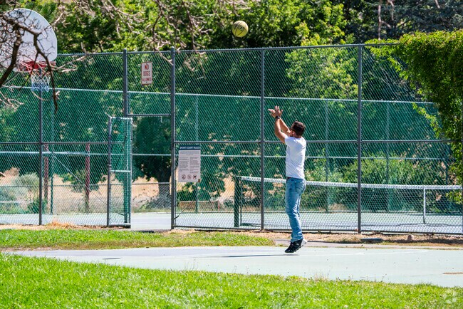 Residents of Huffaker have a nice basketball court surrounded by trees and mature foliage,