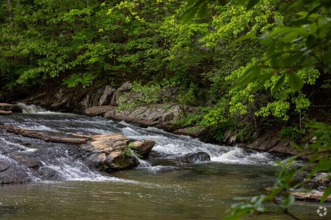 Poole's Mill Park is a great place to relax with your kids near Ball Ground, GA.