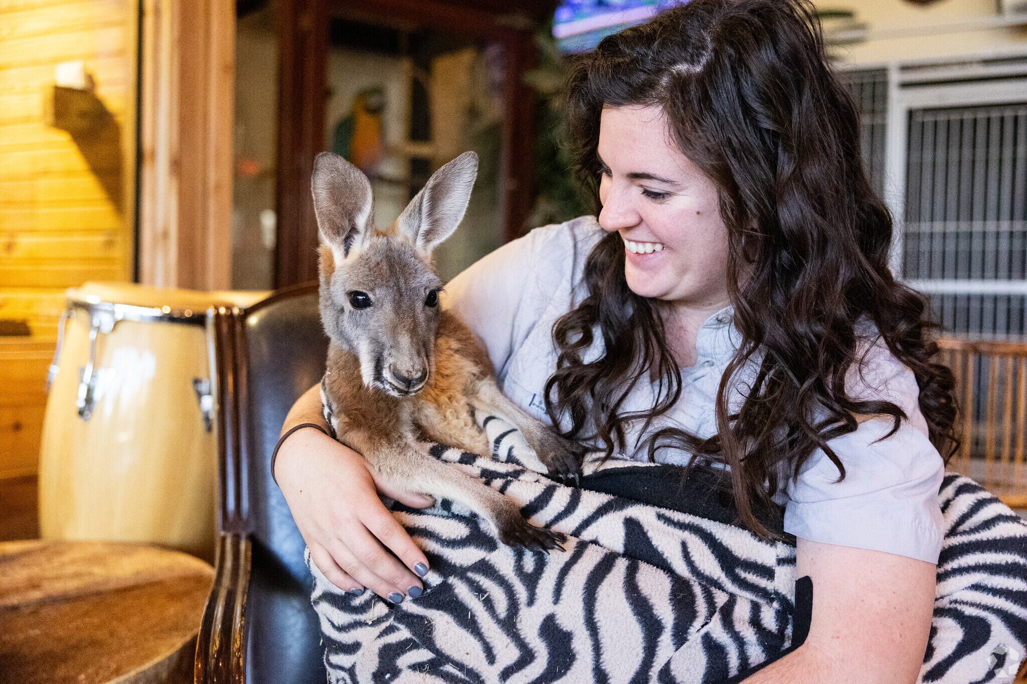 Bridge Creek is home to the zoological park called Tiger Safari.