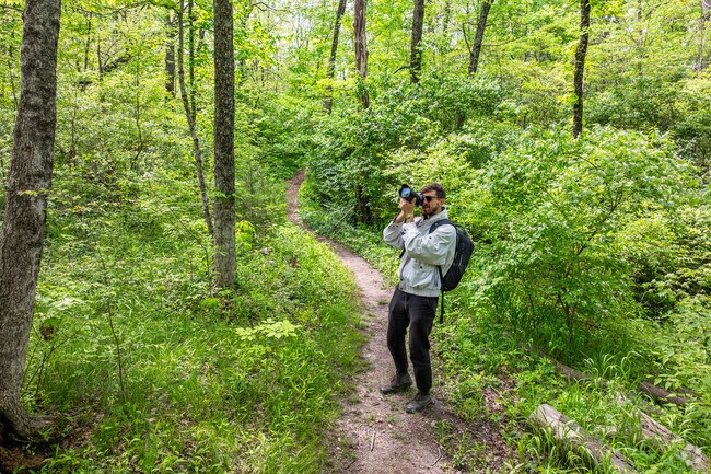 Bulls Run Arboretum, near Creekview, features densely wooded hiking trails.