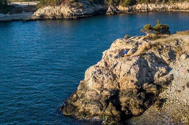 Hike waterfront cliff trails at Fort Wetherill State Park for a chance to observe seals.
